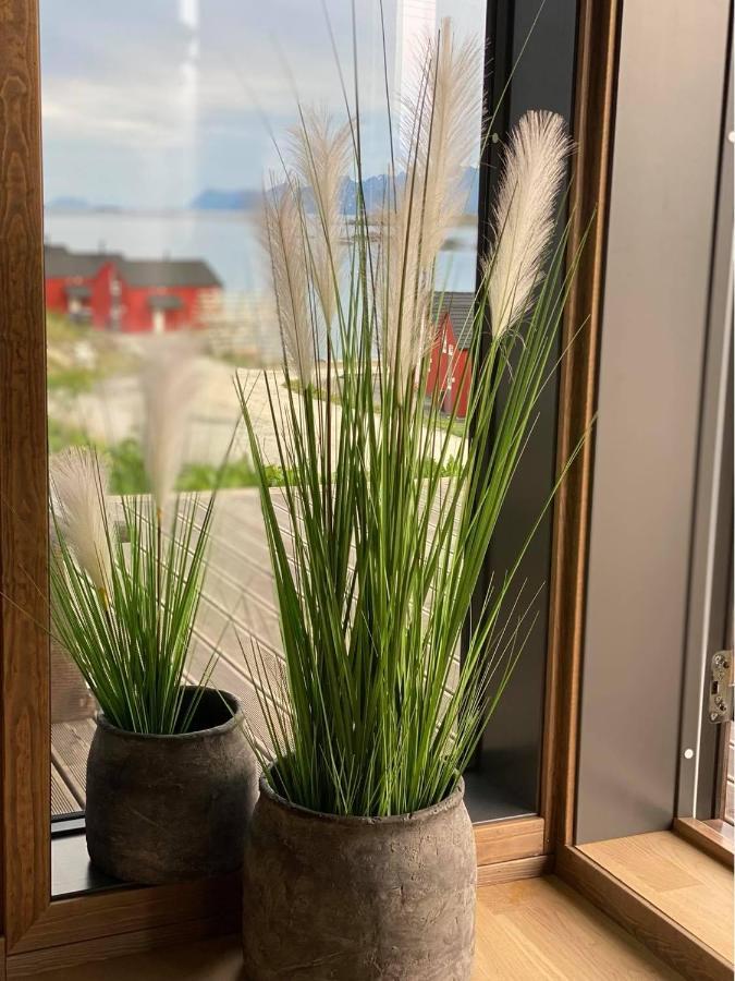Superior Cabin Ballstad Lofoten المظهر الخارجي الصورة