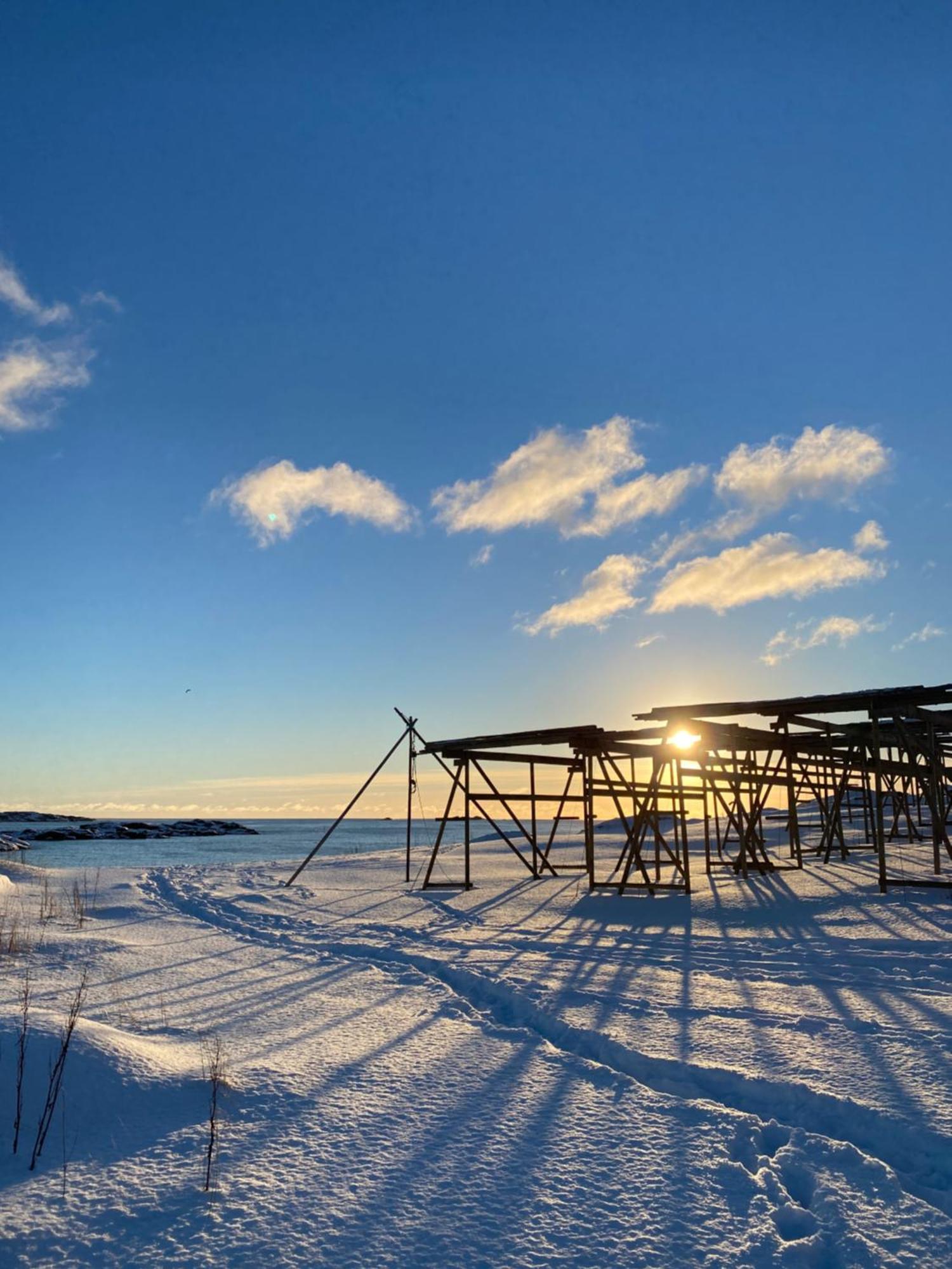 Superior Cabin Ballstad Lofoten المظهر الخارجي الصورة